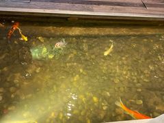 -衡山汇·高级粤菜(霄云路店)