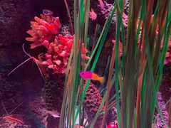 -沈阳海洋探索中心