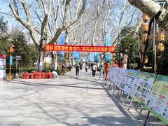 -杭州黄龙洞