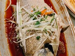 清蒸鲈鱼-青年公社烤鸭(青年路店)