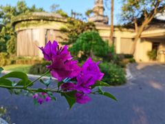 -浙江西子宾馆·瑶园咖啡厅