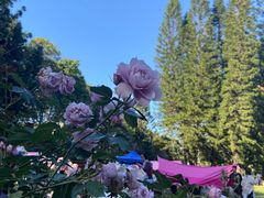 -人民公园(罗湖区)