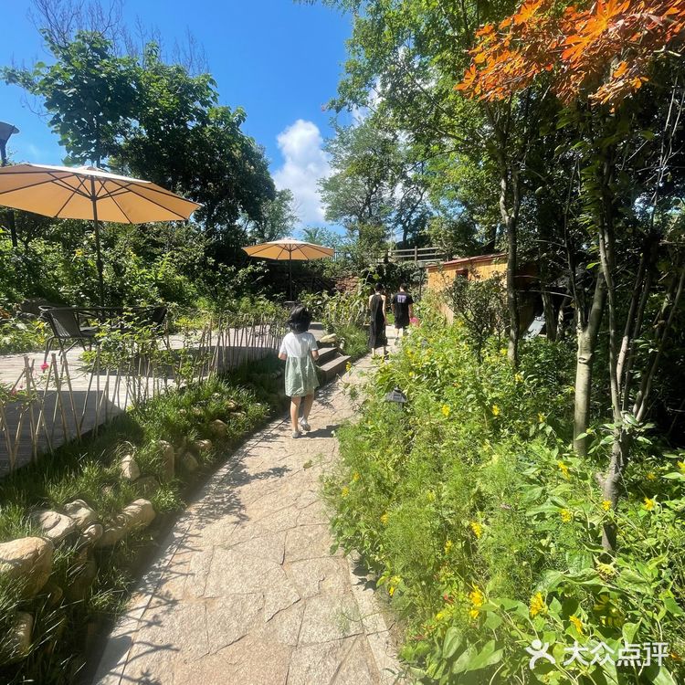 周叔迦故居,咖啡,美景,人文情怀