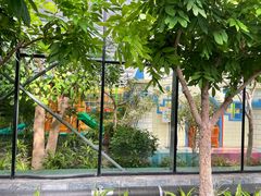 -南宫五洲植物乐园
