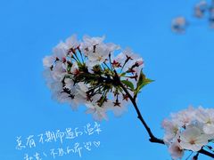 -八万人体育馆-外场足球场