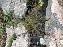 -马家湾湿地公园