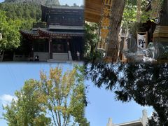 -佛慧山