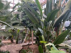 -石家庄市植物园