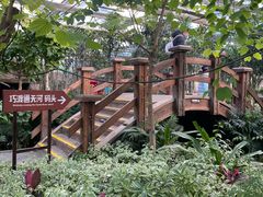 -南宫五洲植物乐园