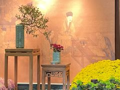 -杭州植物园