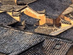 -杨家堂村
