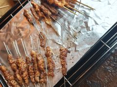 -野人部落(沈阳一店)