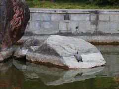 -崇圣寺三塔文化旅游区