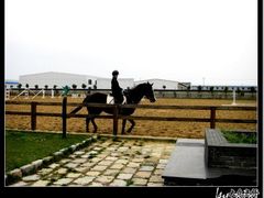 -松声马术俱乐部