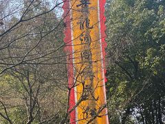 -杭州黄龙洞