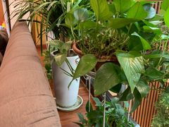 -金琴口腔·正畸种植全科(太升北路店)