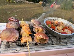 -共青国家森林公园-南大门停车场