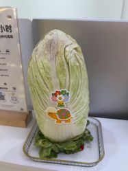 -JUVA欧华医美连锁