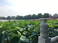 -小王府(什刹海店)