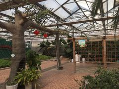 -万源龙顺度假庄园生态观光园