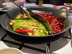 -朱光玉火锅馆(全国总店)