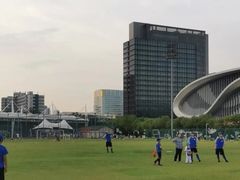 -黄龙魔方运动培训·棒球·橄榄球