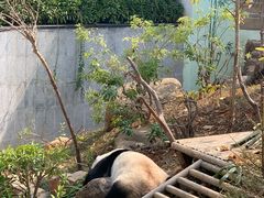 -南宁市动物园