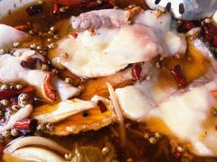 -金三可市井水煮鱼(金碧园店)