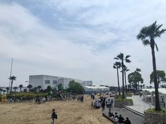 -碧海金沙