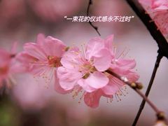 -东北大学(南湖校区)