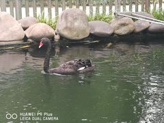 -湖鲜楼