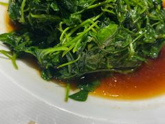 -金枝玉叶上海人家食府(三里河店)