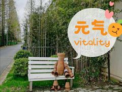 -前小桔亲子创意农场·草莓采摘·露营烧烤