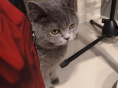 -平行世界·猫咖(首经贸店)