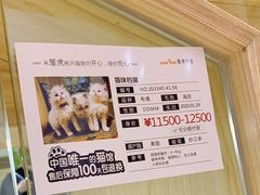 -屋虎猫馆(宝安大仟里店)