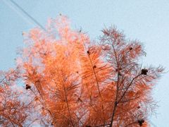 -福道
