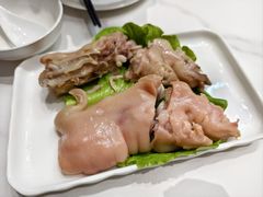 -丁老爷子苏香圆
