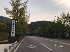 -铁山坪森林公园