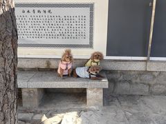 -白水寺森林公园