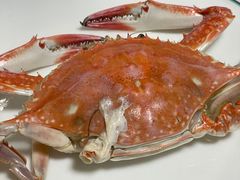 -老郑海鲜楼(天桥店)