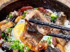-红星光发煲仔饭(大石街店)