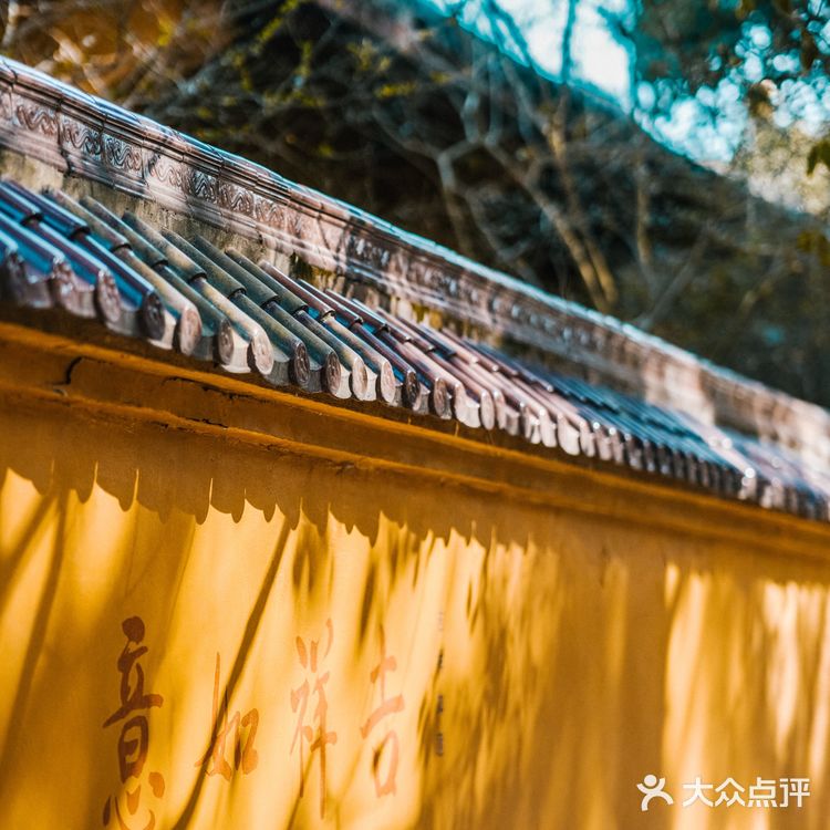 宁波|慧日禅寺,99.9%的人都不知道的小众寺庙