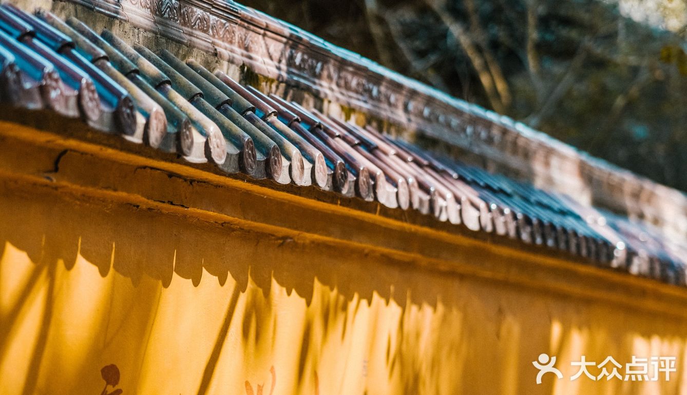 宁波｜慧日禅寺，99.9%的人都不知道的小众寺庙