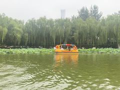 -团结湖公园