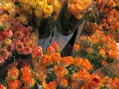 -循礼门鲜花花市(武汉循礼门店)