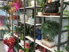 -丽景花品行(青安路店)