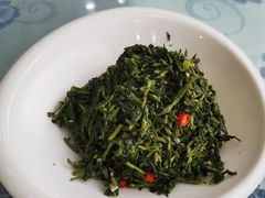 养生枸杞苗-老毛手抓·盐池滩羊非遗手抓(宁夏总店)