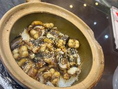 -红星光发煲仔饭(文海店)