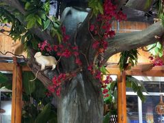 -草原塞蛮羊火锅城(港湾店)