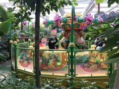 -南宫五洲植物乐园